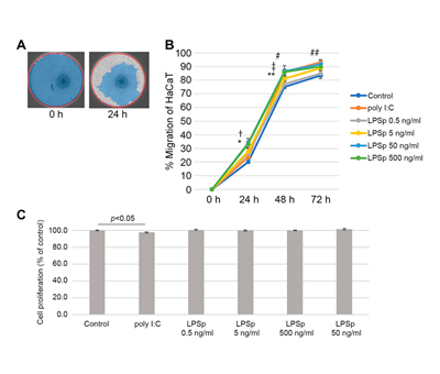Lipopolysaccharide Derived from Pantoea agglomerans Directly Promotes the Migration of Human Keratinocytes